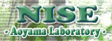 NISE Aoyama Laboratory